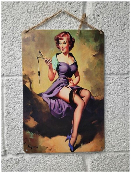 Пин ап постеры