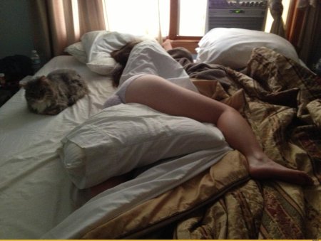 Спящие девушки