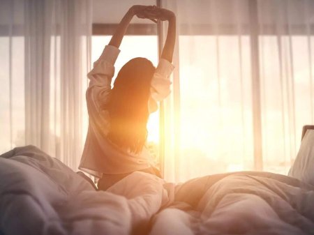 Утреннее пробуждение