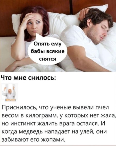 Опять о своих багах думает