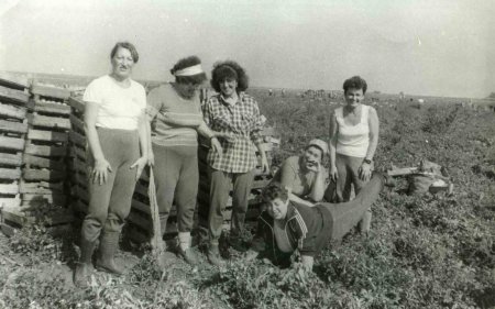 Женщины в колхозе