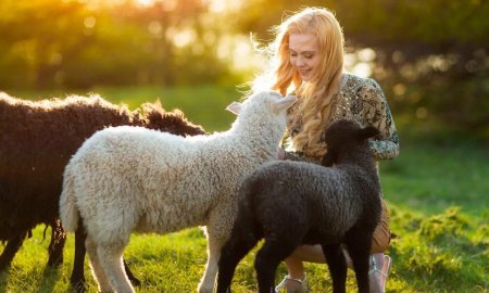 Овца с ягненком