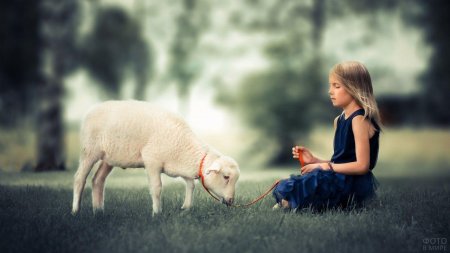 Девочка Овечка