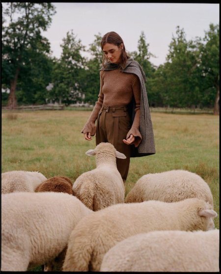 Аманда и овца