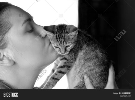 Девушка нациловывает как кота