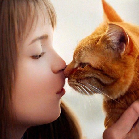 Девушка с рыжим котом