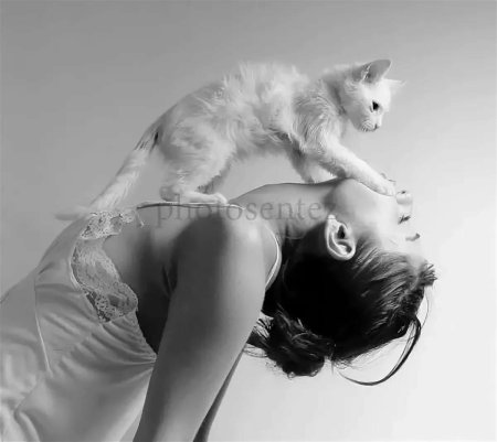 Фотосессия с кошкой