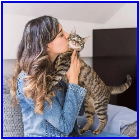 Домашнее девушки и кошки