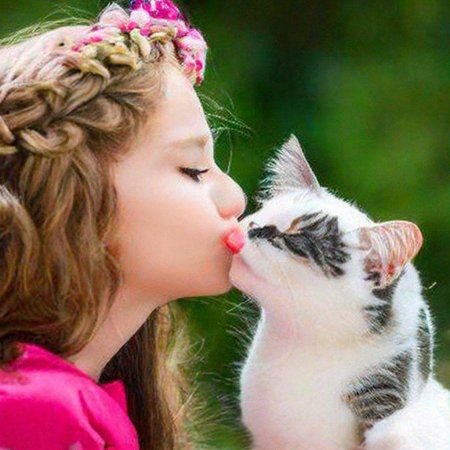 Котик целует кошечку
