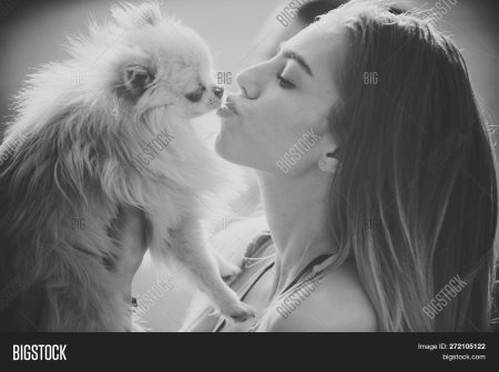 Собака для ублажения женщины