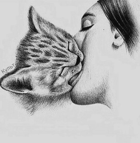 Коты в обнимку рисунок