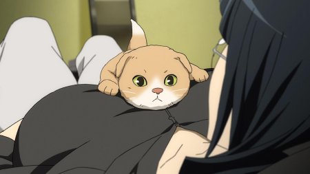 Аниме кошки