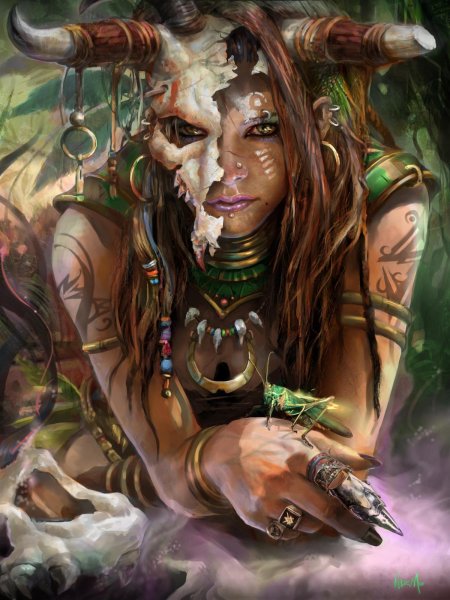 Эльфийка шаман