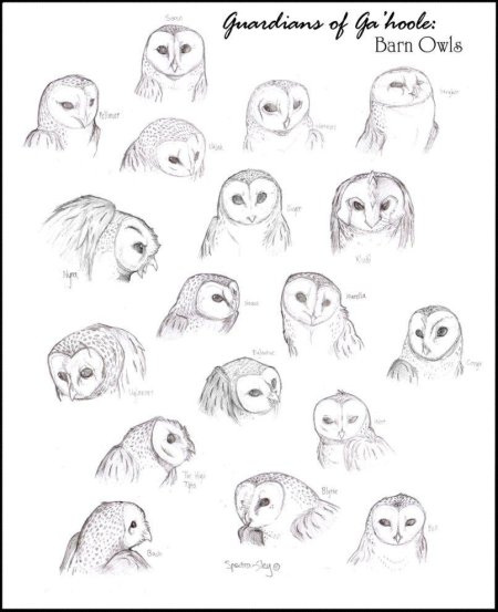Совы референс сипуха