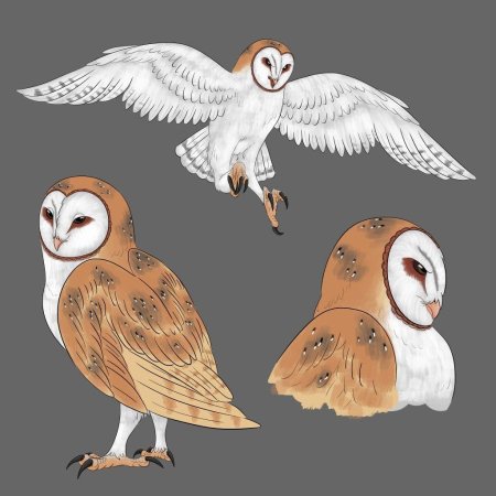 Легенды ночных стражей найра