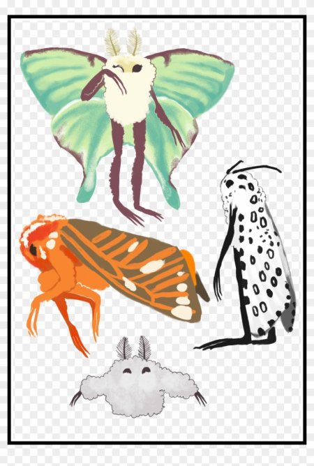 Мотылек персонаж