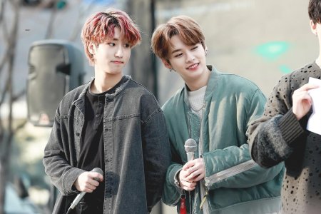 Stray Kids Минхо и Джисон
