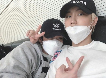 Минсоны СТРЕЙ