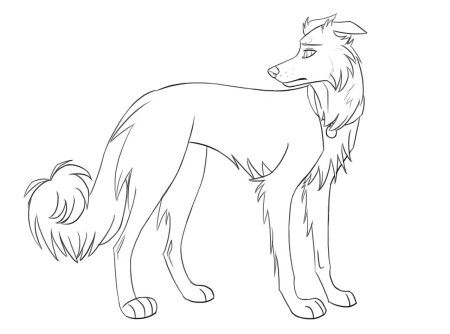 Лайны бордер колли