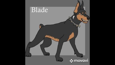 Собака доберман