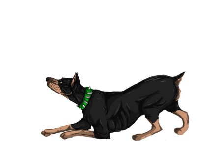 Хроники стаи для срисовки