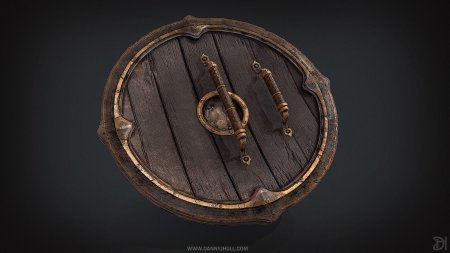 Референс щита викингов