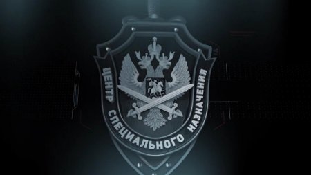 Эмблема ЦСТ ФСБ России