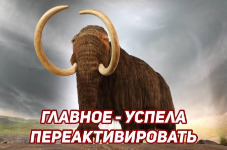 Мамонт картина