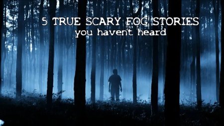 Темный силуэт в лесу