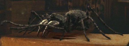 Древние пауки Арахниды