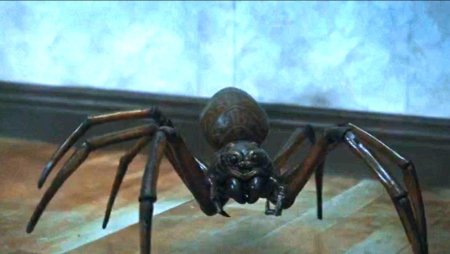 Гигантский паук Тула