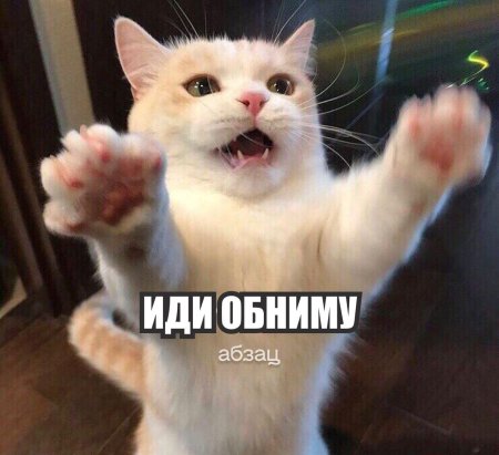 Кот иди обниму
