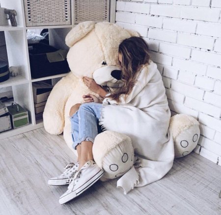 Фотосессия с мягкими игрушками