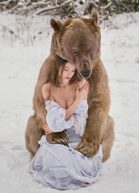 Медведь и девушка