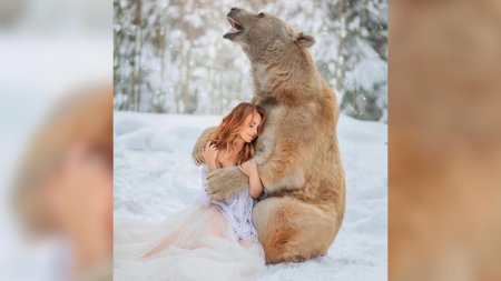 Фотосессия с медведем степаном