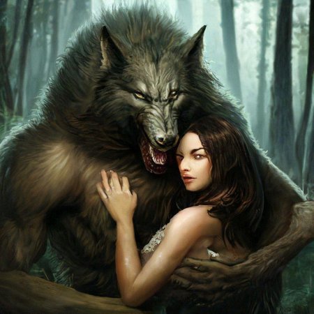Волк и девушка