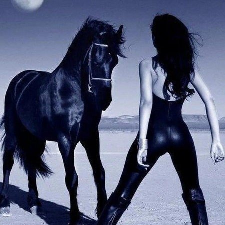 Лошадь и девушка