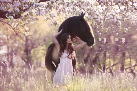 Фотосессия с лошадьми