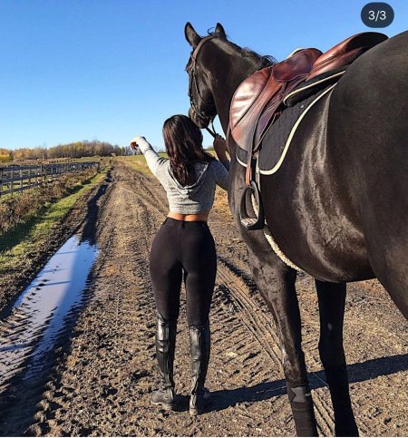 Верховая езда