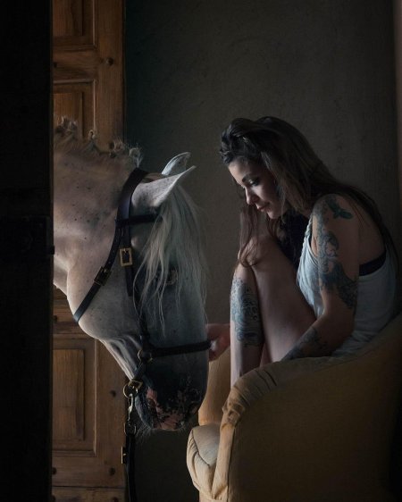 Красивая лошадь