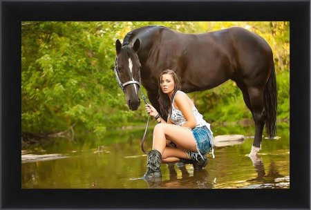 Телки лошади