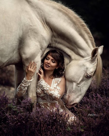 Фотосессия с лошадьми образы