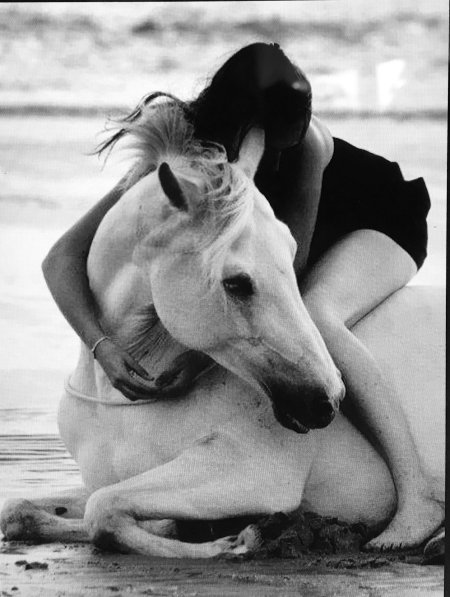 Девушка с лошадью