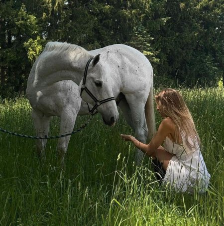 Белая лошадь