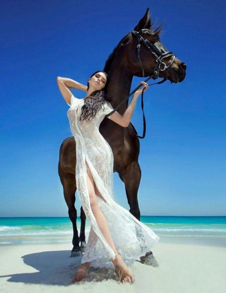 Красивая девушка на коне