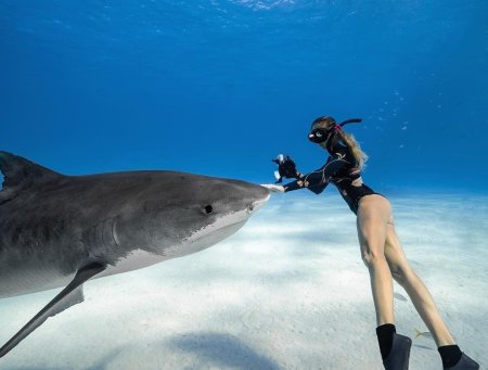 Девушка и акулы