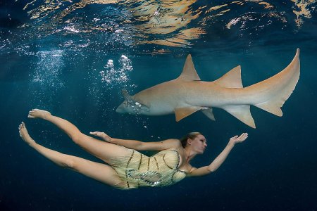 Ирина Британова с акулами