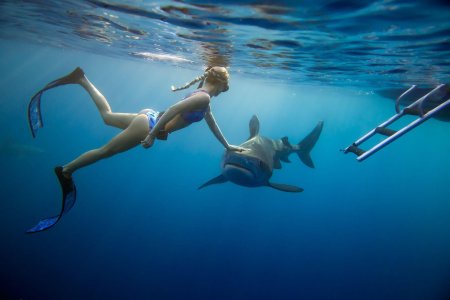 Оушен Рамси