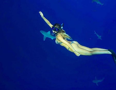 Путешественница Сара Кохан