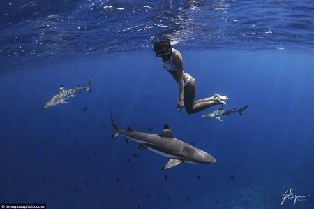 Рава Рэй Королева скатов